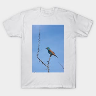 European Roller (Coracias garrulus) T-Shirt